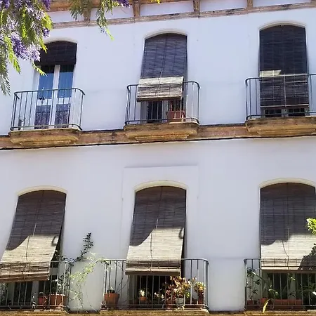 Apartment Jerez Centro Historico