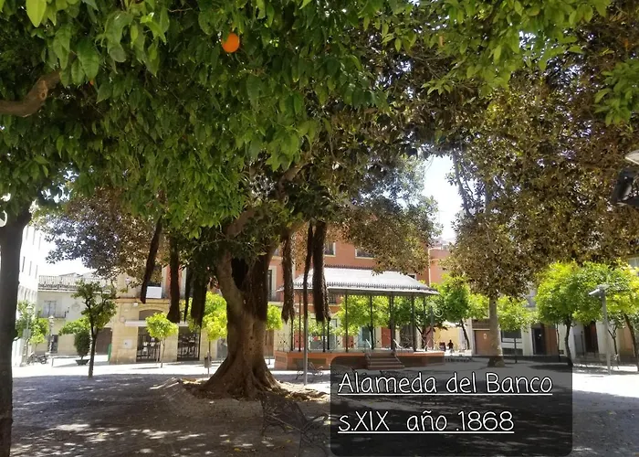 아파트 Jerez Centro Historico *