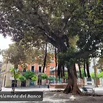 Appartement Jerez Centro Historico *
