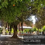 Appartement Jerez Centro Historico *