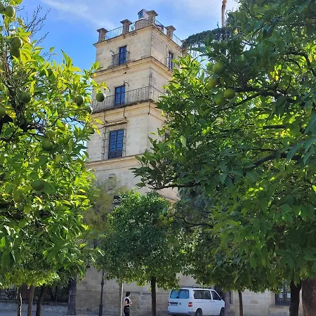 Jerez Centro Historico Apartment *