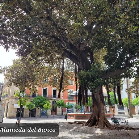 Apartment Jerez Centro Historico *
