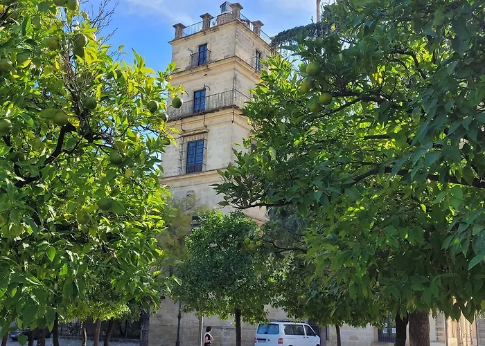 Jerez Centro Historico アパート *