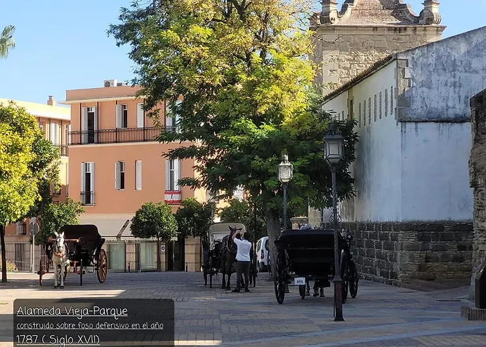 Jerez Centro Historico Lejlighed