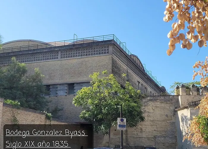 アパート Jerez Centro Historico